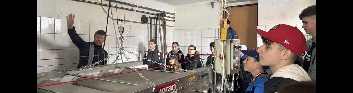 VISEGRADSKÝ FOND V BÁNOVĚ 02.